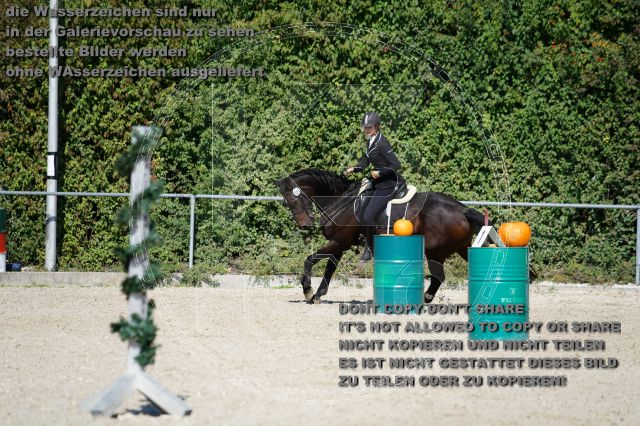 s_K3F03375.JPG
